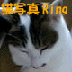Lʐ^Ring
